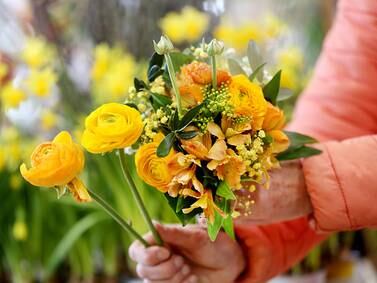 ¿Por qué se regalan flores amarillas este 29 de febrero?