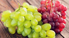 ¿Sabías que las uvas sirven contra la hipertensión, la artritis y el agotamiento mental?