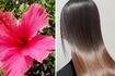 Agua de flor de cayena para el cabello: el secreto para una melena fuerte y brillante a los 50