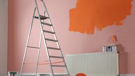 Curioso: esto dice la ciencia sobre el uso de colores cálidos en tus paredes