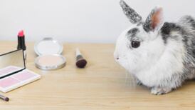 Chile da un paso firme: adiós al testeo en animales en la industria cosmética