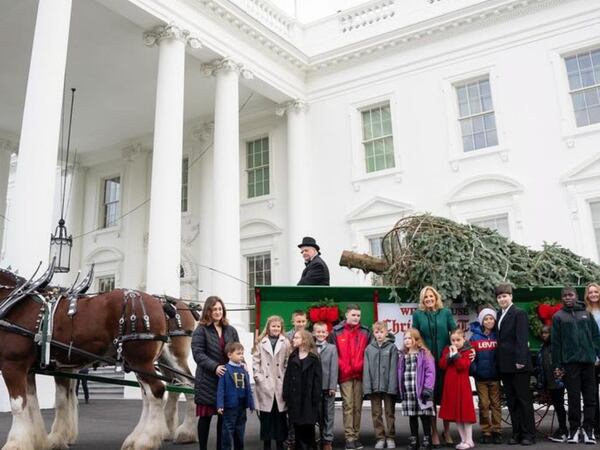 La decoración navideña de la Casa Blanca se corona la más espectacular del año: tiene 98 árboles