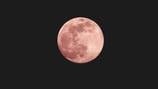 Luna rosa: ¿cuándo y dónde se podrá ver el plenilunio de abril en su punto más brillante?