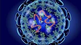 OMS declara alerta mundial por coronavirus