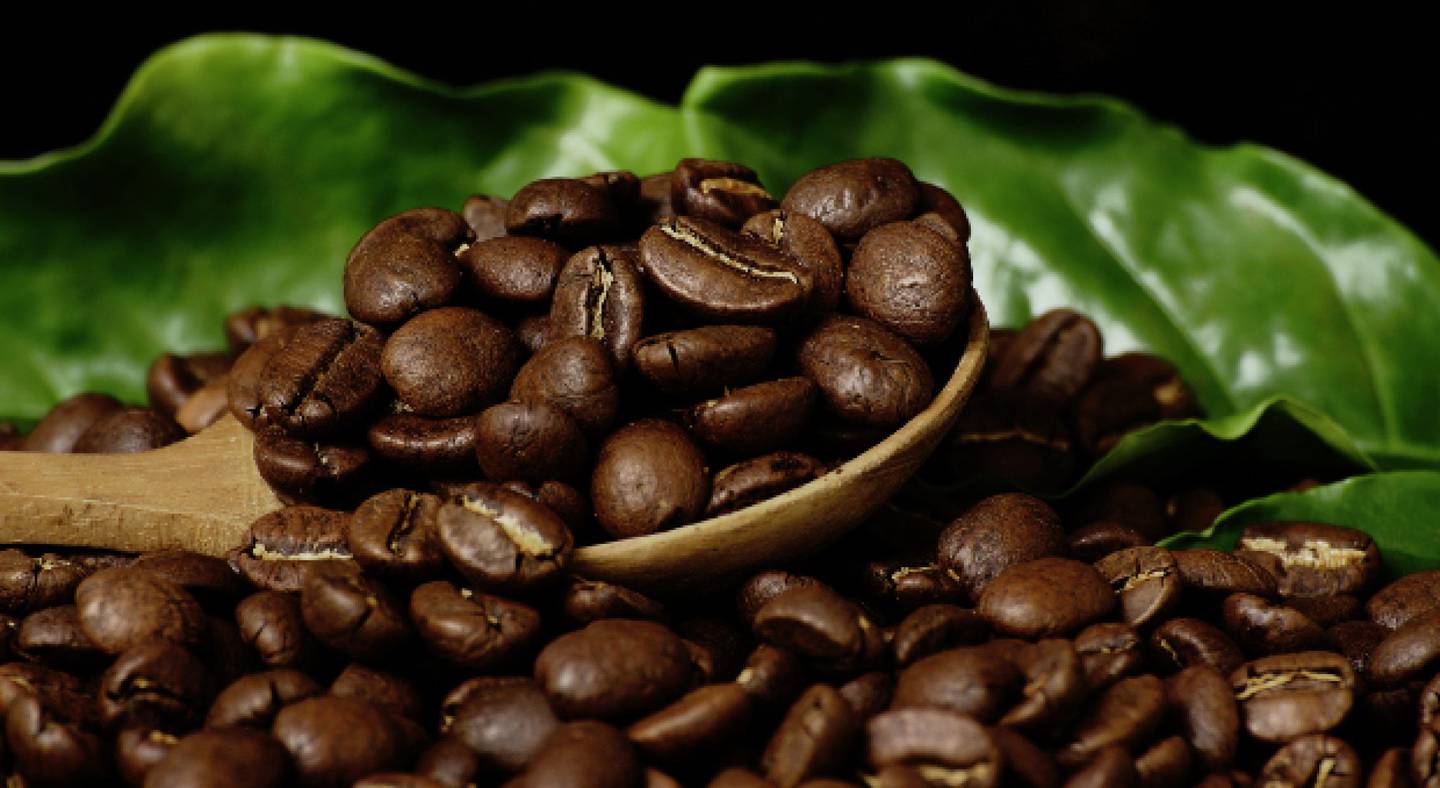 El café en granos o molido es mejor que el café instantáneo.
