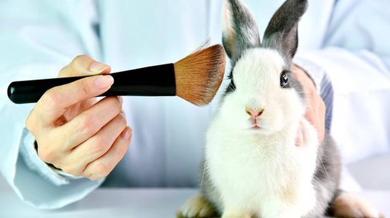 méxico prohíbe pruebas cosméticas animales