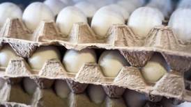 Comer un huevo al día no aporta un gran riesgo para la salud
