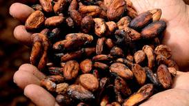 Mujeres emprendedoras crean el primer bioplástico con cáscara de cacao