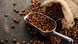 ¡El café sigue ganando puntos y sorprendiendo! Tomarlo reduce riesgo de desarrollar Alzheimer y Parkinson