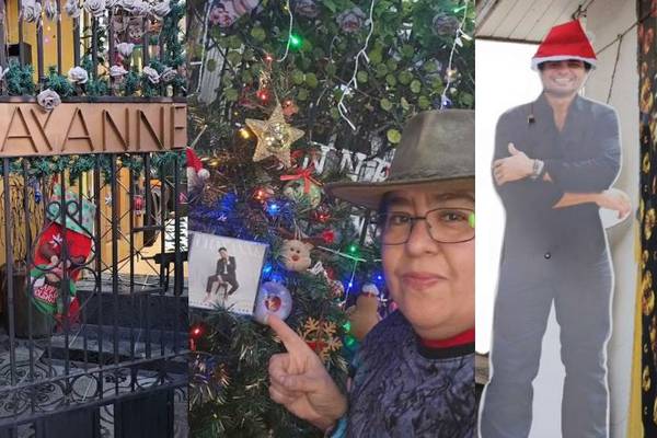 “Es mi razón de vivir”: Chilena es furor en redes sociales con decoración navideña inspirada en Chayanne