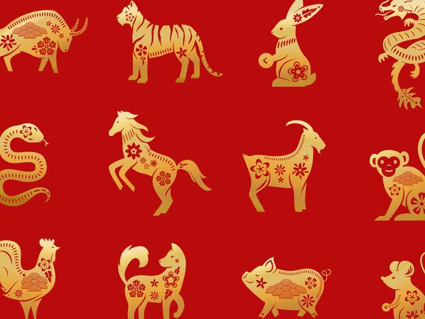 La primera lluvia de estrellas de diciembre traerá calma y éxito para 5 signos del zodiaco chino