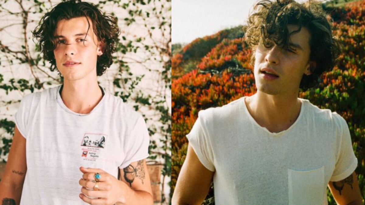 Shawn Mendes intenta rehacer su vida luego de enfrentar problemas de salud mental.