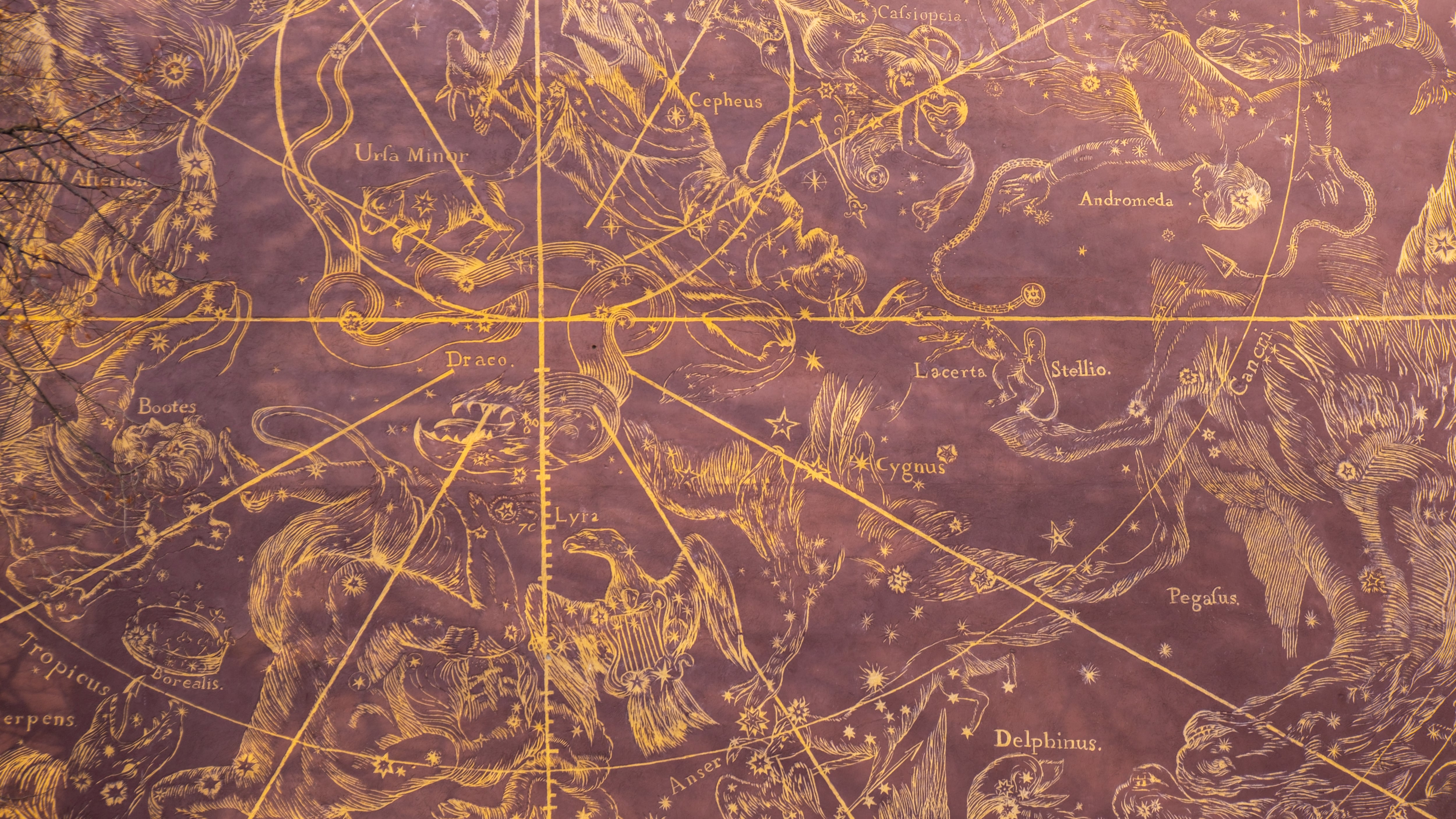 Esta es tu fuerza ancestral