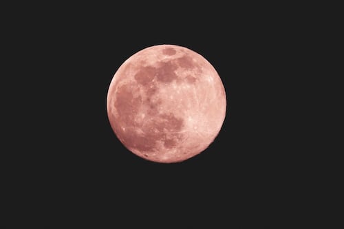 Luna rosa: ¿cuándo y dónde se podrá ver el plenilunio de abril en su punto más brillante?