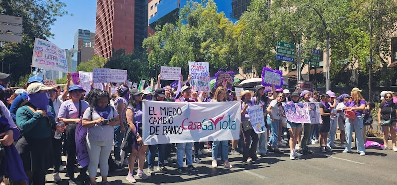 Samantha Báez y el vuelo imparable de Casa Gaviota