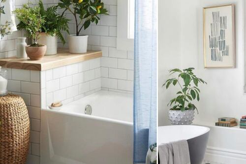 Feng Shui en el baño: evita las goteras y las puertas abiertas si quieres alejar la mala suerte