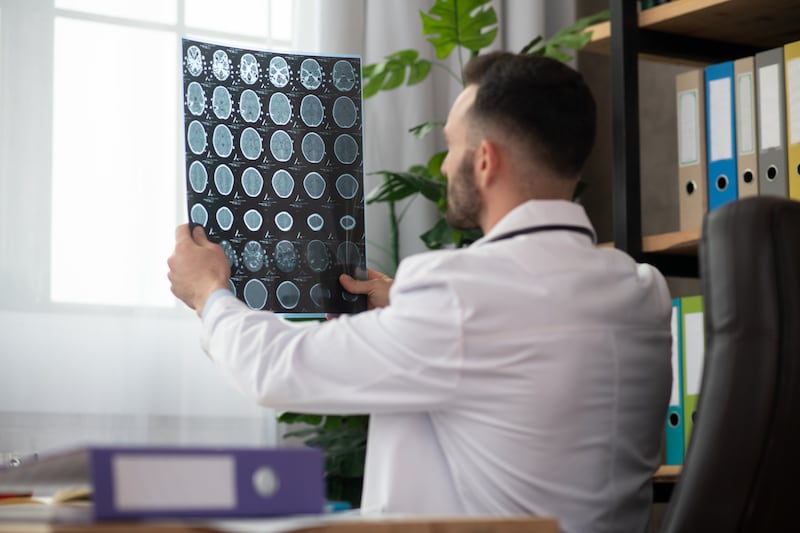 Orientación sexual con bases en el cerebro