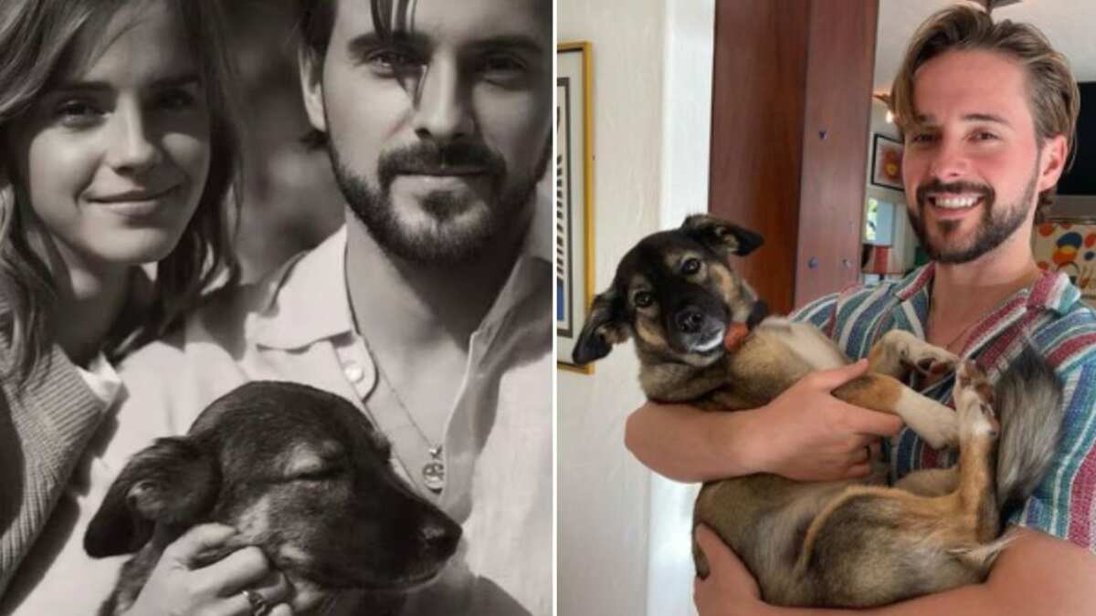 “Adopté a Sofía en México, que parece ser un ángel no un perro”, explicó la estrella de Harry Potter.