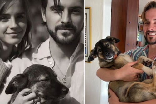 Emma Watson adopta una perrita mexicana y se gana el corazón de las redes: “Parece un ángel”