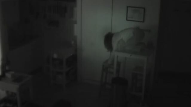 Viral intrusa