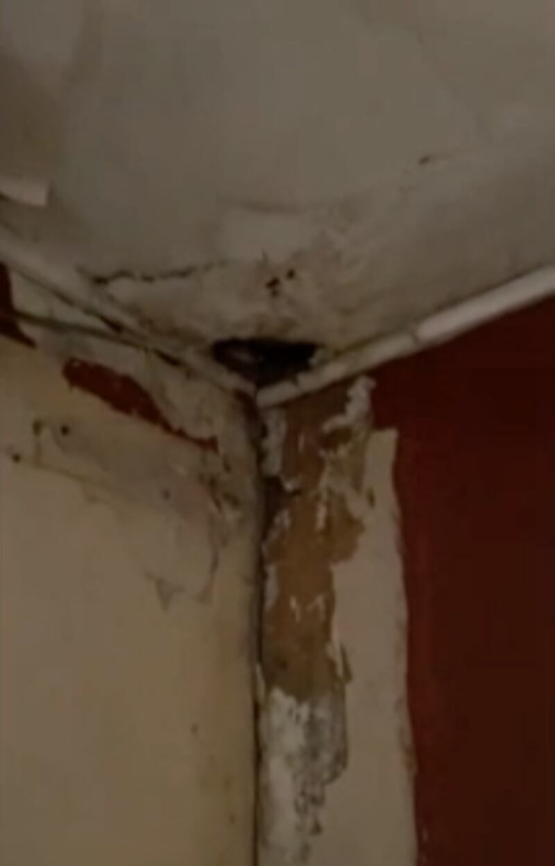 Clarisa Muñoz mostró cómo quedó la casa de sus padres tras arrendarla por 18 años
