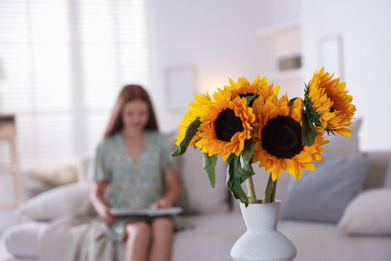 Girasoles para honrar tu casa.