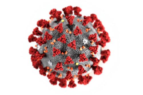 ¿Al menos dos años más en crisis covid? las interrogantes que hacen incierto el futuro del coronavirus