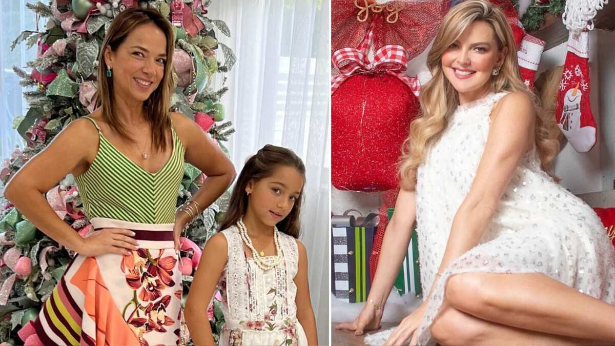 Adamari López y Marjorie de Sousa sorprendieron con sus increíbles arbolitos de Navidad