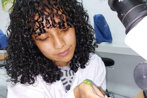 De Ecuador al mundo: la historia de Mylena Masache y la rana de cristal que honra a Neisi Dajomes