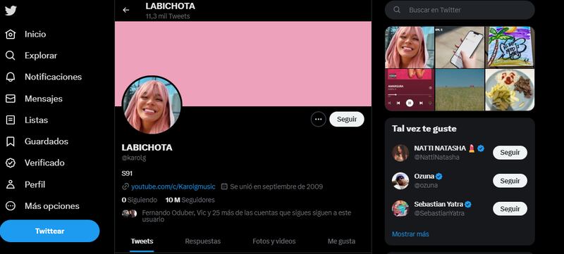 Karol G salmo 9 salmo 91
