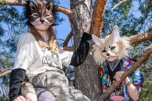 ¿Hay sufrimiento? Esto es lo que hay detrás del fenómeno ‘therian’ según experto