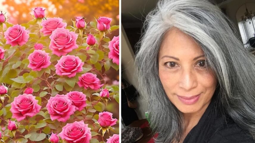 Tinte orgánico de rosas y miel para las canas