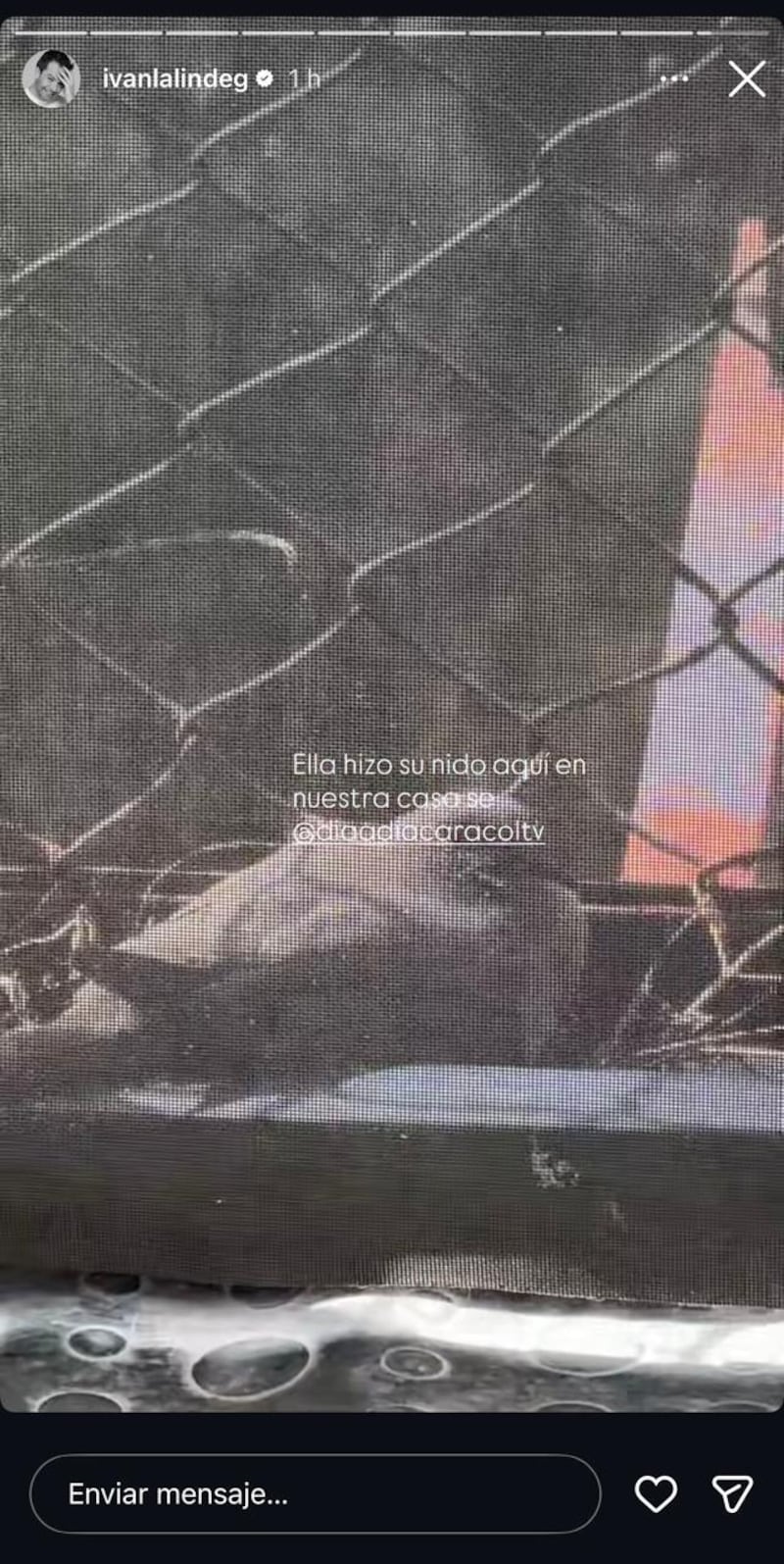 Iván Lalinde - Día a día.