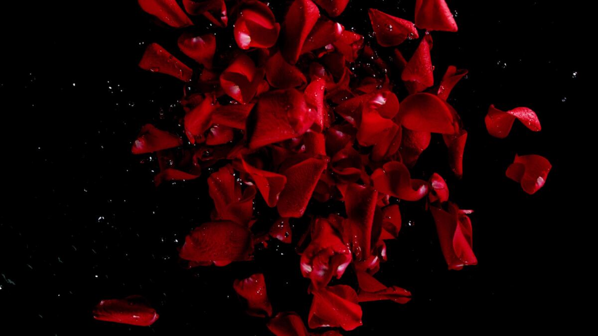 Este es el ritual más poderoso para atraer el amor en año nuevo.