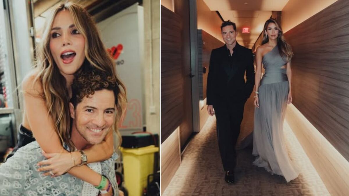 David Bisbal tiene dos hijos en común con su actual esposa