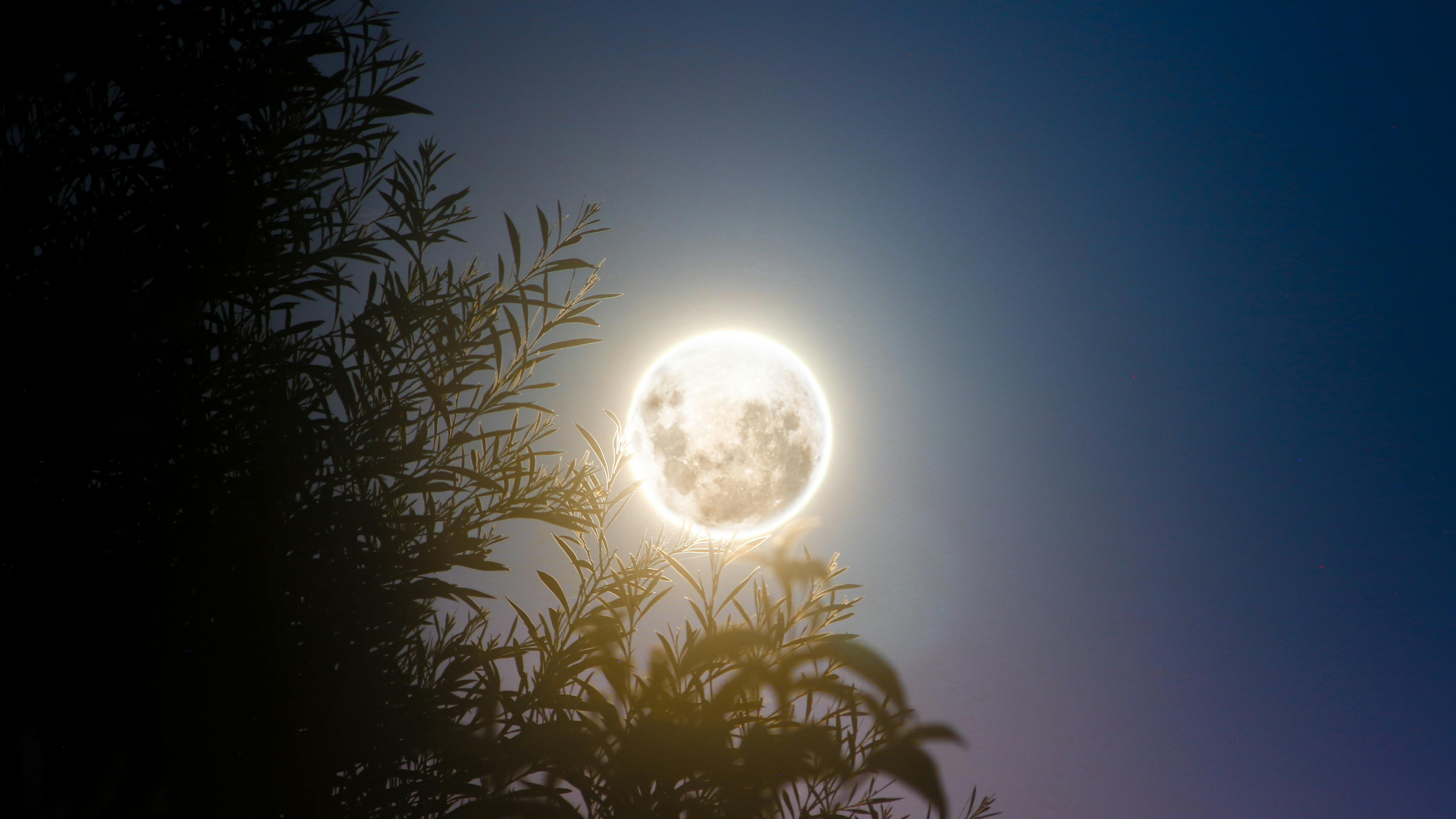 Signos beneficiados diciembre 2025