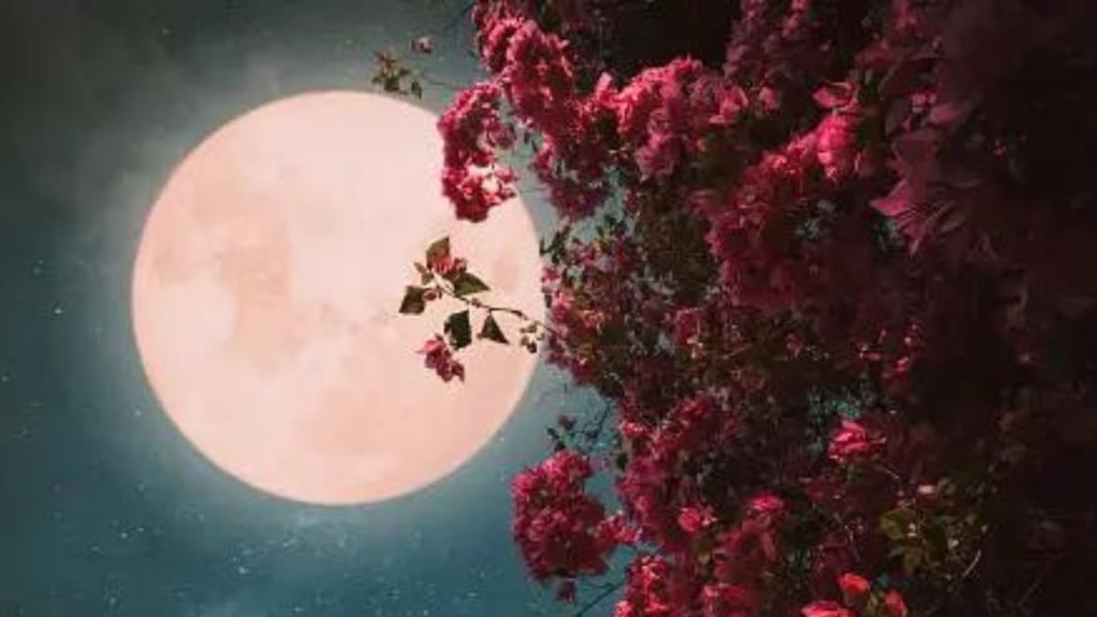 Las 12 Lunas Llena del año: Cuál es el nombre y el significado de cada una