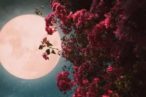 Las 12 Lunas Llenas del año: Cuál es el nombre y el significado de cada una