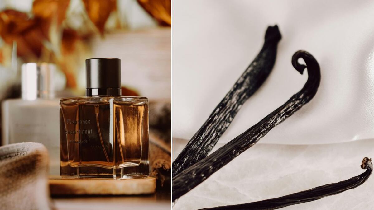 Los perfumes con olor a vainilla han mantenido su popularidad a lo largo del tiempo