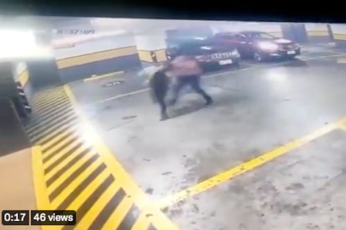 ¡Ni una menos! Mujer es brutalmente golpeada en un parqueadero en Quito ¿qué pasó con el agresor?
