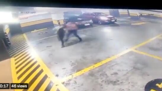 Captura de pantalla del video.