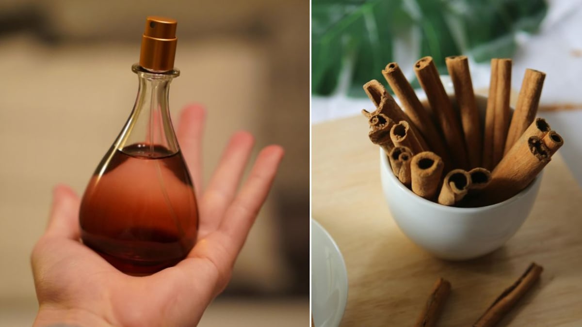 Los perfumes con olor a canela evocan el aroma de los últimos meses del año