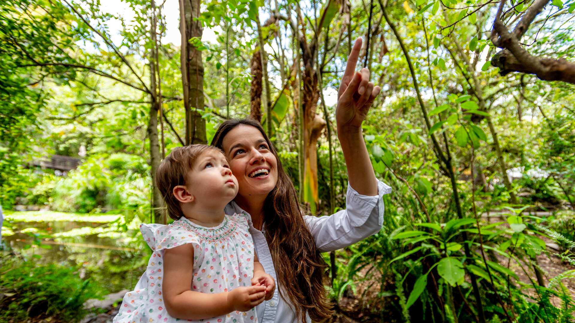 La propuesta intervendrá un área de 1.750 metros cuadrados en la zona sur del parque.