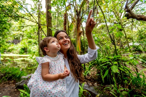 Quito florece: siete hábitats ecológicos urbanos transformarán el Parque Bicentenario y el corazón de la ciudad