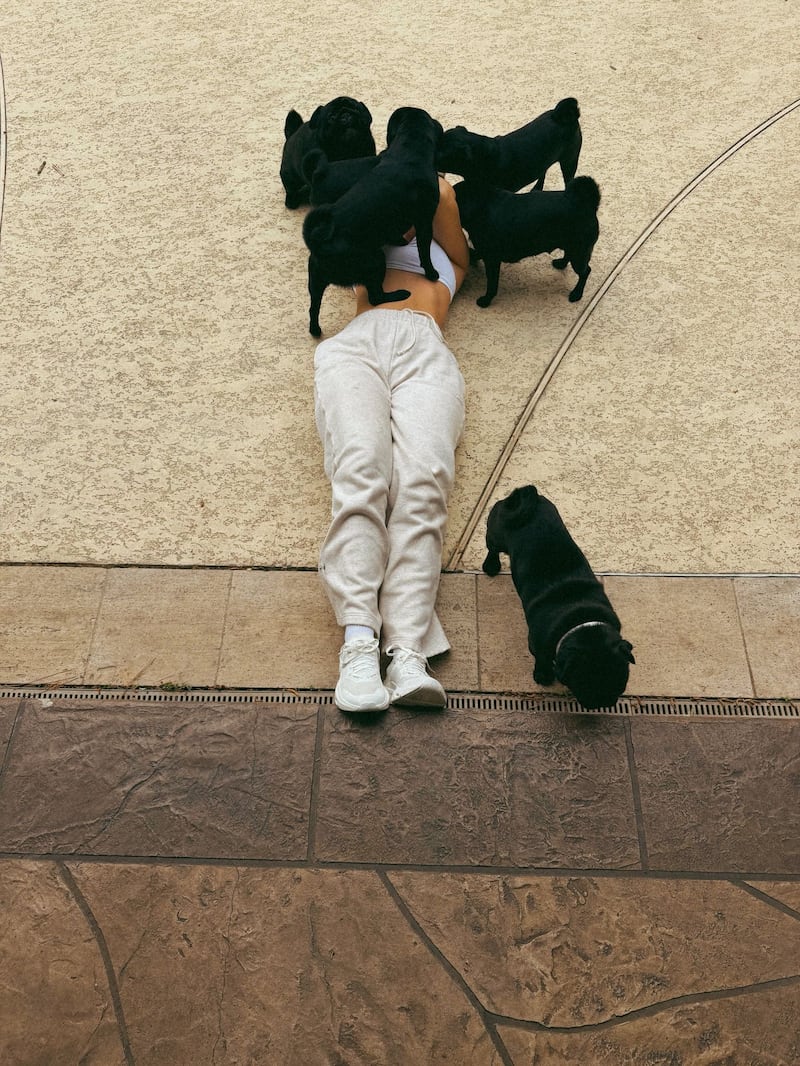 Pugs de Ángela Aguilar