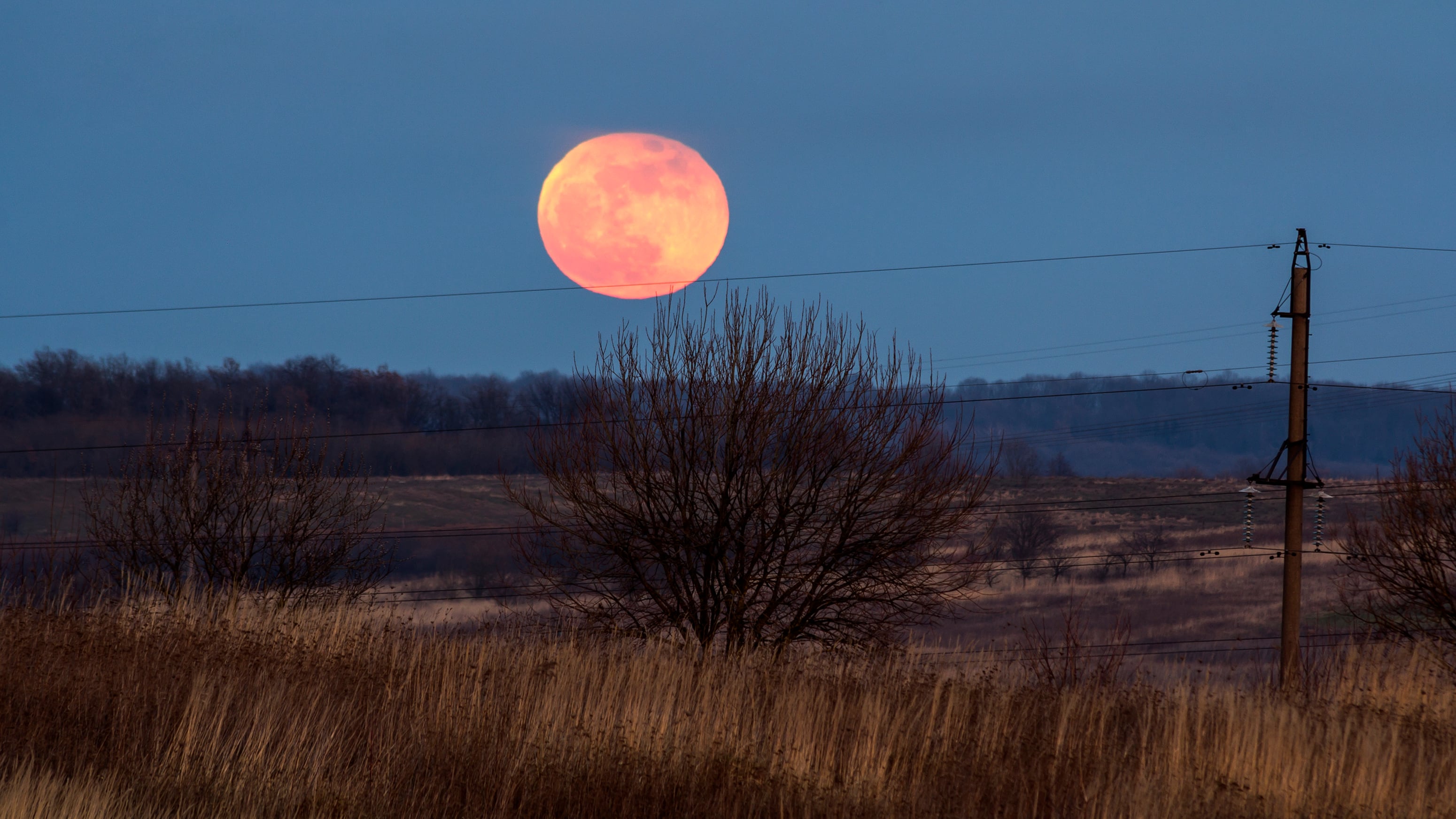 Rituales para la Luna Rosa