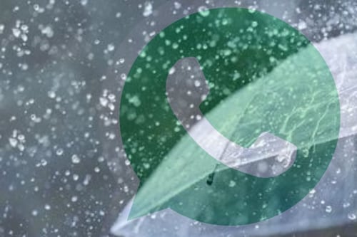 ¿Cómo activar el modo lluvia en WhatsApp y para qué sirve?