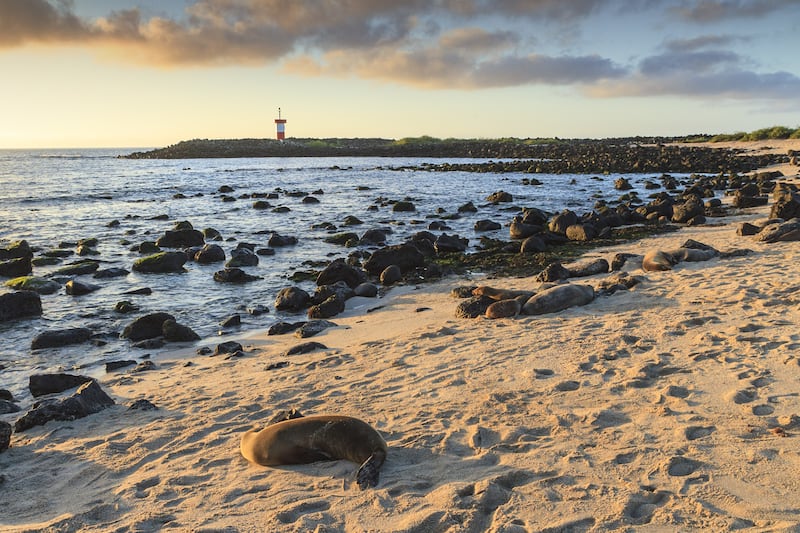 Galápagos, un paraíso encantado.