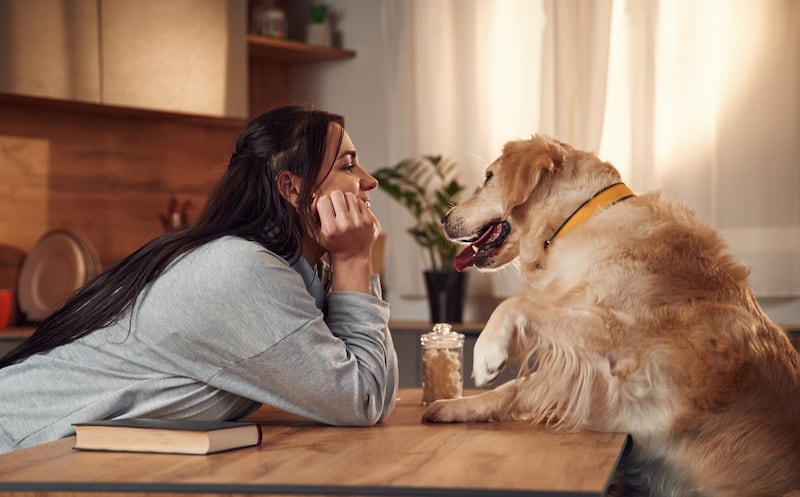 Hablarle como bebé a un perro