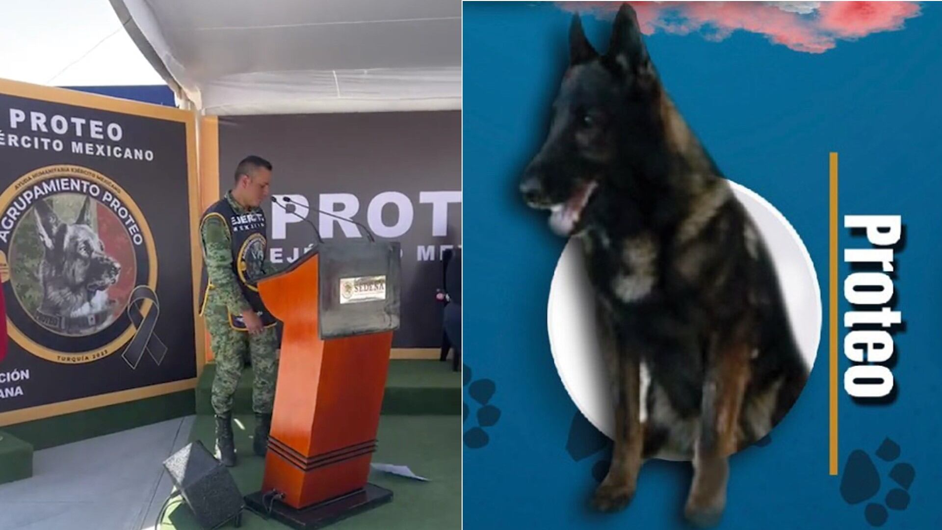 Proteo fue homenajeado como los grandes: fotos de su emotiva despedida tras llegar a casa